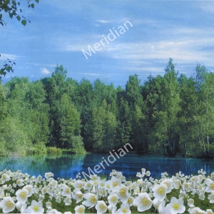 Фотошпалери 